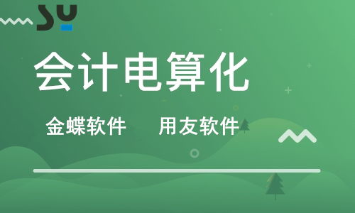 广汉会计代账收费,企业管理服务代理费用