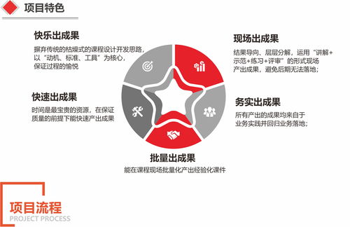 企业管理内化项目