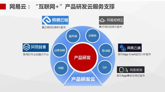 网易汪源 网易为什么要做云计算