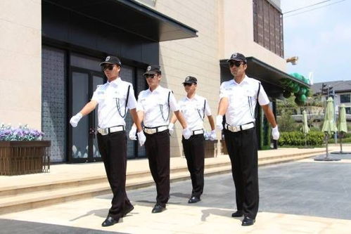 万科 美景魅力之城 致敬初心,魅力在路上