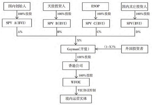 揭秘vie架构 企业如何利用协议控制规避税收