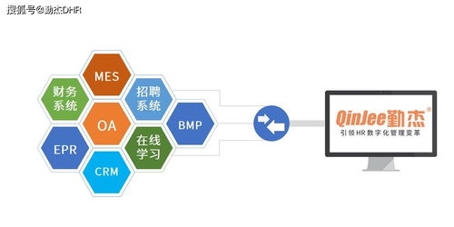 企业选择hr系统有哪些注意事项 看完你就知道了